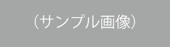 サンプル書店での販売はこちら