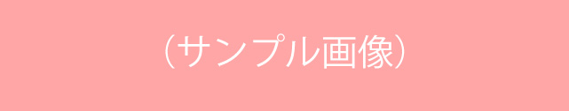 販売サイト(ネット書店名)はこちら